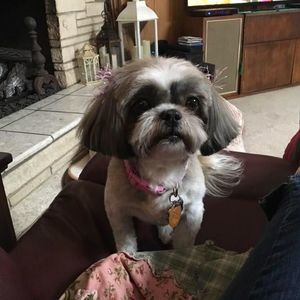 Meet your Posher, Patty